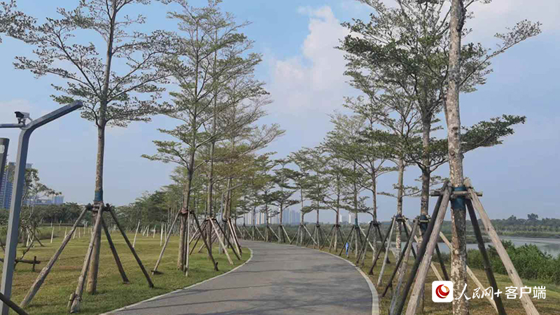 冯家江滨海国家湿地公园景色。刘鑫摄 冯家江滨海国家湿地公园景色。刘鑫摄