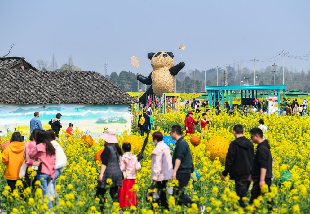 3月5日，在四川省崇州市道明镇，游客在油菜花田中观光。新华社记者 王曦 摄