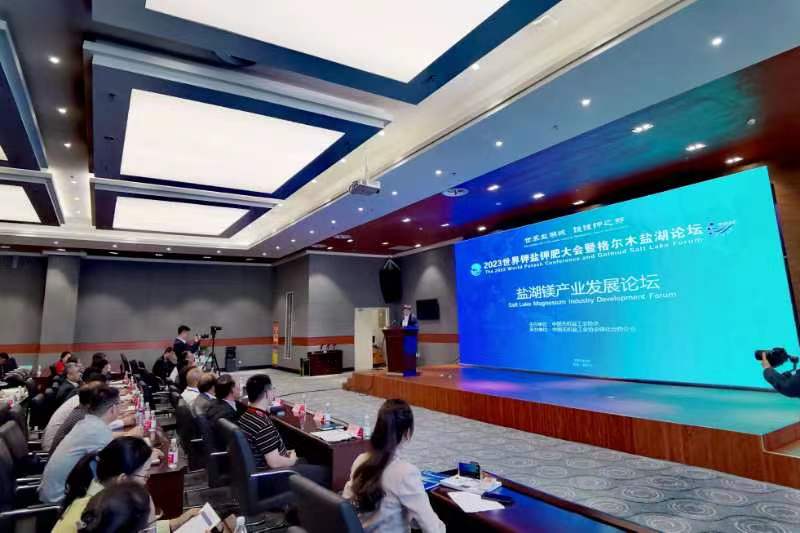 论坛现场。马铭言摄