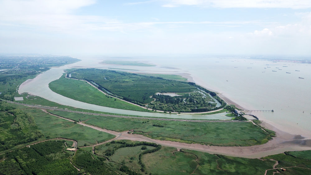 这是2023年7月25日拍摄的上海崇明西沙湿地公园（无人机照片）。新华社记者 金立旺 摄