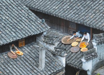 镜头故事·美丽乡村10月25日，浙江省宁波市海曙区章水镇李家坑村，村民在古宅窗口晾晒柿子等。近年来，李家坑村兼顾传统村落保护与发展，文化挖掘、更新改造和农村生活污水治理等成效显著，获得国家级美丽宜居示范村等荣誉。胡学军摄（人民视觉）
