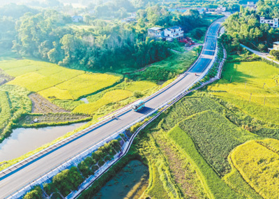 镜头故事·农村客车 8月10日，四川省泸州市合江县望龙镇，一辆农村客车行驶在新建的农村公路上，与金色田园构成一幅美丽的乡村振兴画卷。农村公路快速发展，改善了农村居住和出行环境，有效带动了当地特色产业发展。李贵平摄（影像中国）