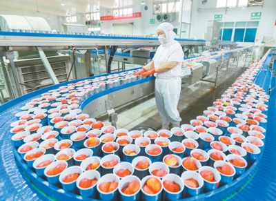 镜头故事·农产品加工 8月21日，湖北省宜昌市秭归县一家外贸食品加工企业，工人在自动化加工车间生产番茄罐头。当地把农产品加工作为提升产业质效的重要手段，统筹推进初加工、精深加工、综合利用加工协同发展。王罡摄（影像中国）