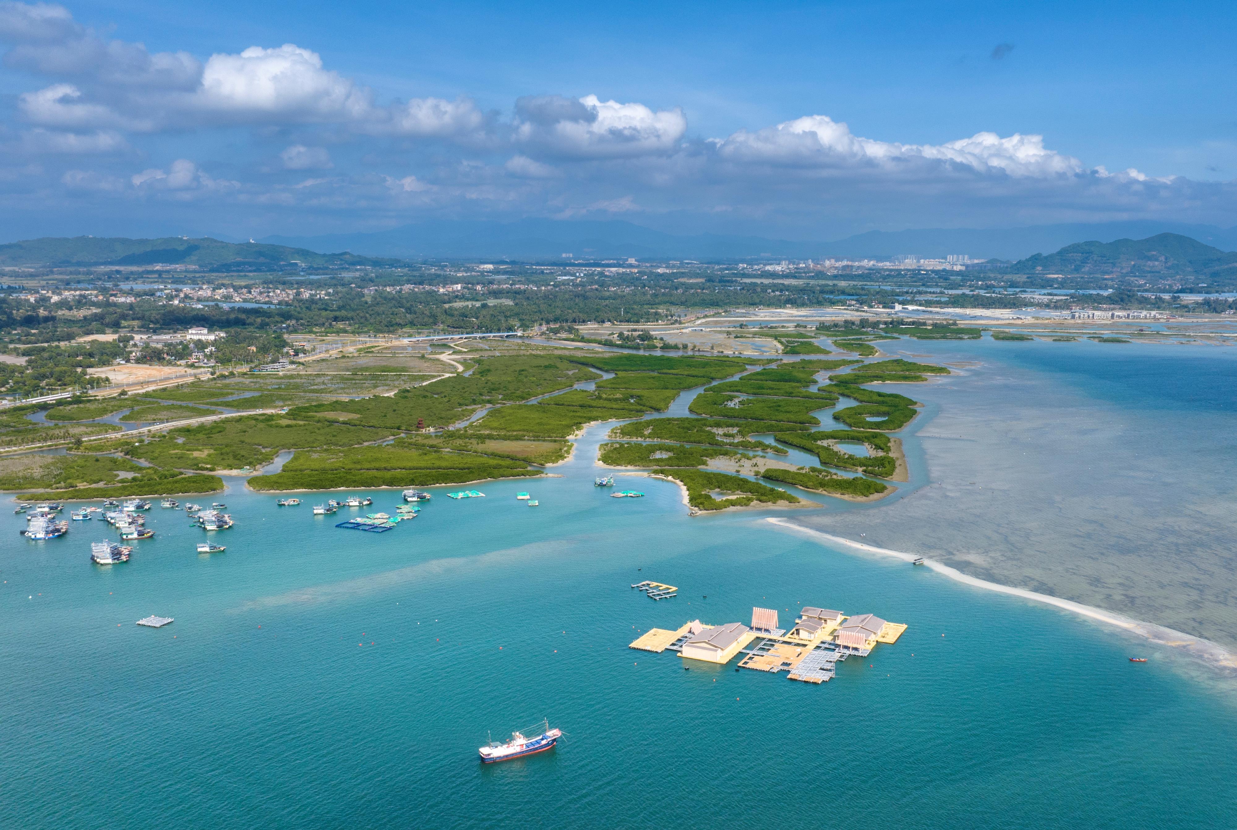 海南陵水红树林国家湿地公园。红树林素有“海岸卫士、鸟类天堂、鱼虾粮仓”的美誉，在净化海水、防风消浪、维持生物多样性、固碳储碳等方面发挥着极为重要的作用。