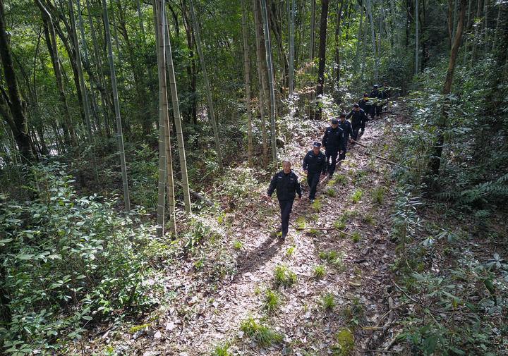 △2022年1月19日，武夷山国家公园护林员在巡山。