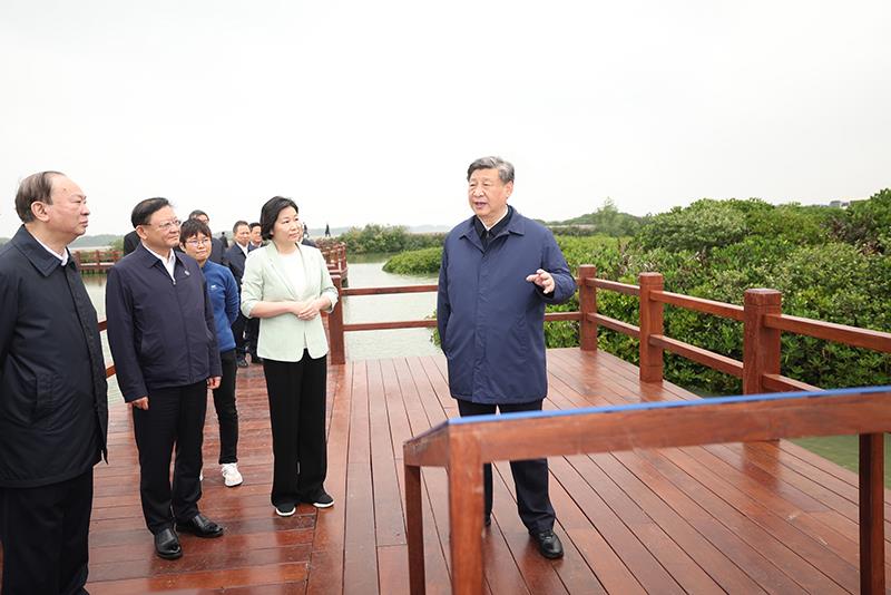 △2023年4月10日，习近平总书记在广东湛江市麻章区湖光镇金牛岛红树林片区考察。