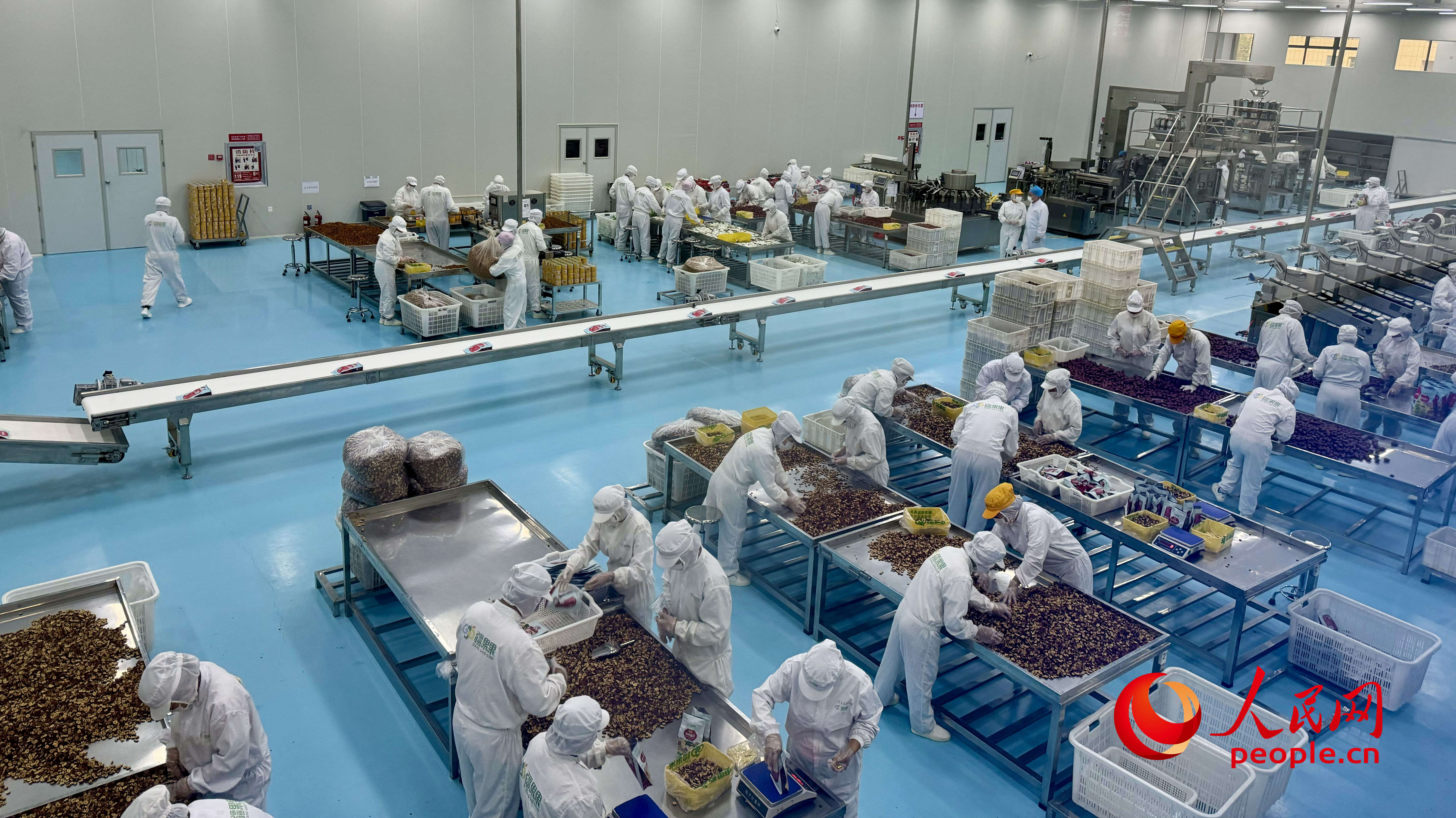 大家各司其職，一派繁忙景象。人民網(wǎng) 李龍攝