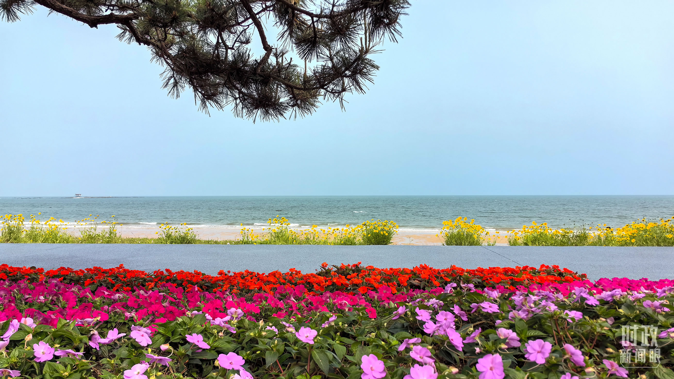△阳光海岸绿道。（总台央视记者陆泓宇拍摄）