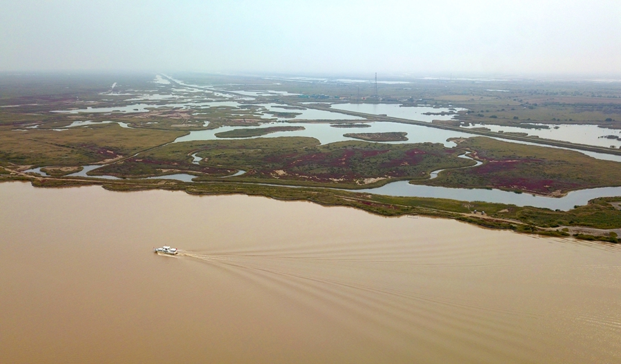 2023年10月12日在山东省东营市拍摄的黄河与黄河三角洲湿地（无人机照片）。新华社记者 徐速绘 摄