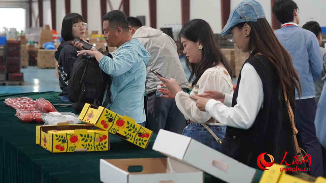參加活動的正能量網(wǎng)絡名人代表正在拍攝展示的番茄產(chǎn)品。人民網(wǎng) 李龍攝