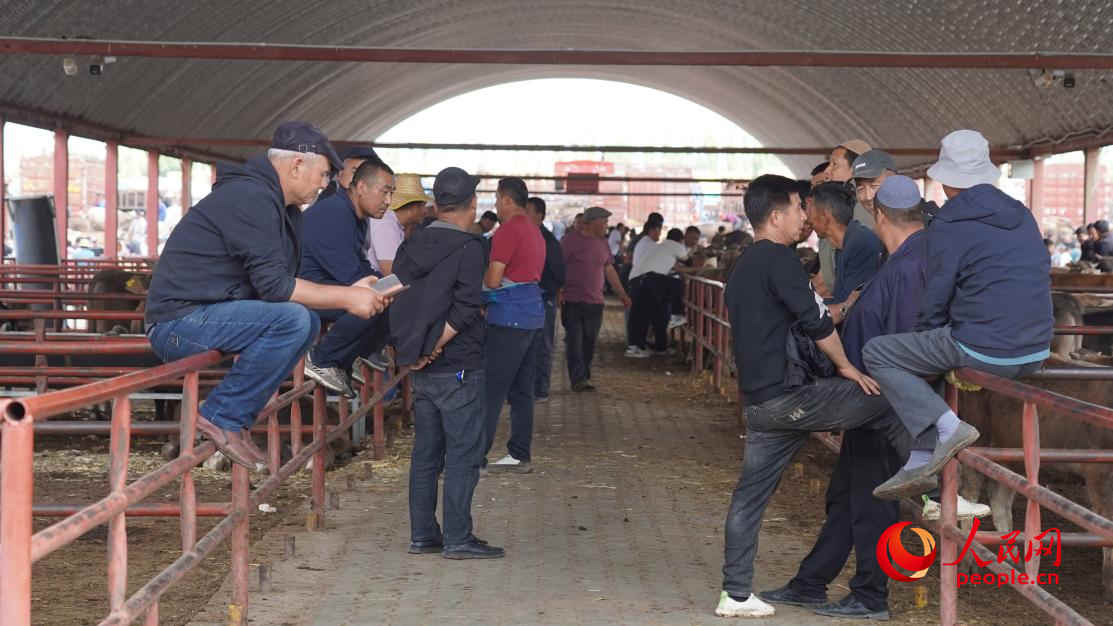 黃公巴扎的活畜交易區(qū)。人民網(wǎng) 李龍攝