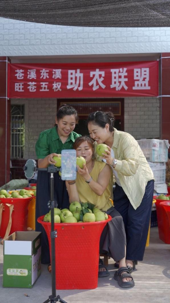 人民网+