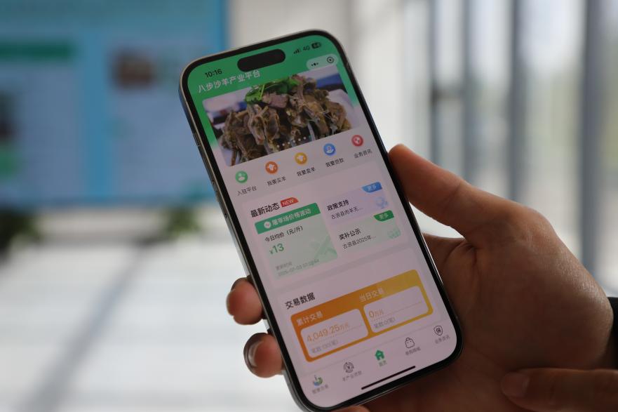 羊产业线上交易平台。人民网记者 邵兰摄 羊产业线上交易平台。人民网记者 邵兰摄