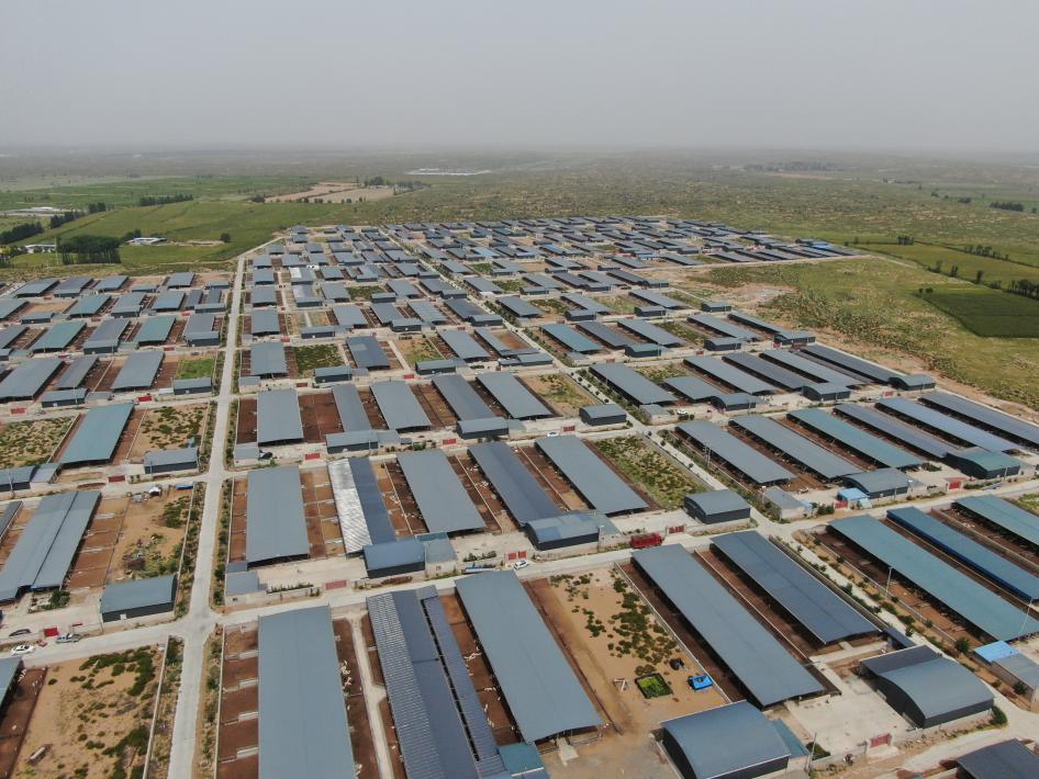 航拍金滩羊产业园。人民网记者 邵兰摄 航拍金滩羊产业园。人民网记者 邵兰摄