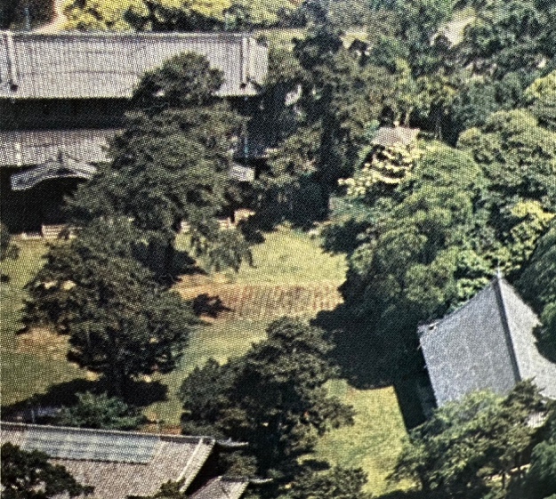 人民网+